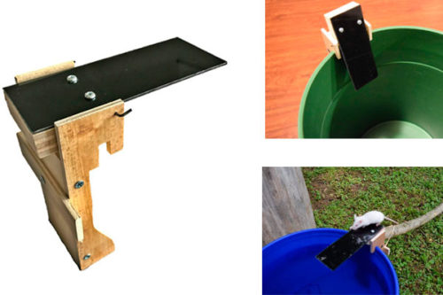 Rattenfalle Selber Bauen Eimer