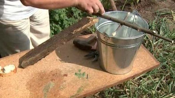 Rattenfalle Selber Bauen Eimer