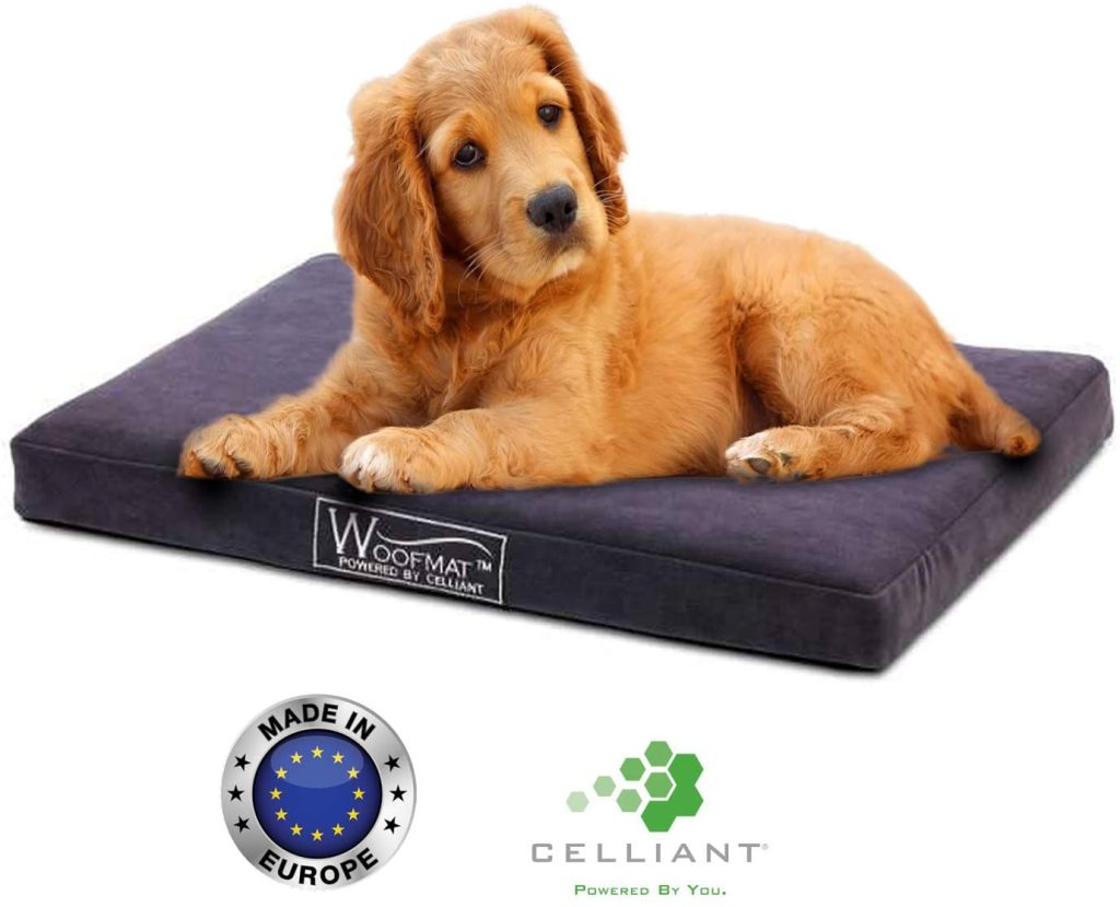 Woofmat Dog Dream Mat Hundebett - Orthopädisches Hundekissen mit Celliant® Fasern und Infrarot-Technologie